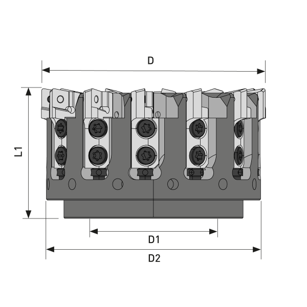 Kassettenfräser Ø100 Komplett-Set