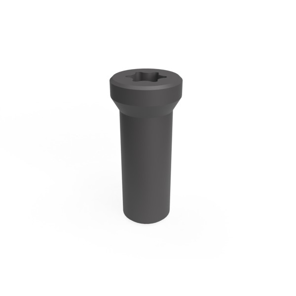 Kassettenspannschraube M6 x 1