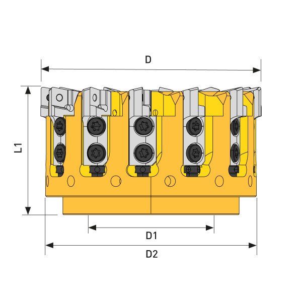 Kassettenfräser Ø100 Komplett-Set