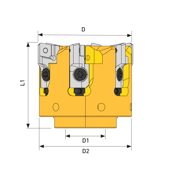 Kassettenfräser Ø63 Komplett-Set