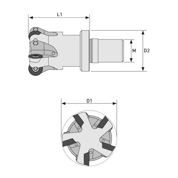 Einschraubfräser M16 Ø42 R5