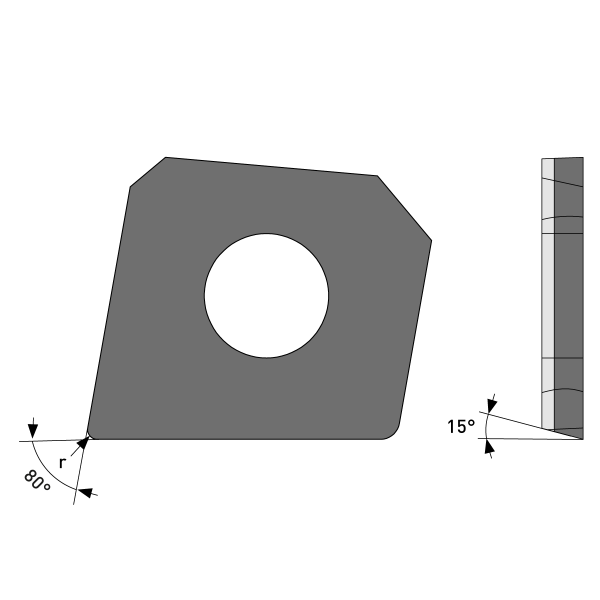 CDGW 03X101 CBN-H65