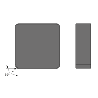 : SNGN 090404 CBN-X : SNGN 090404 CBN-X