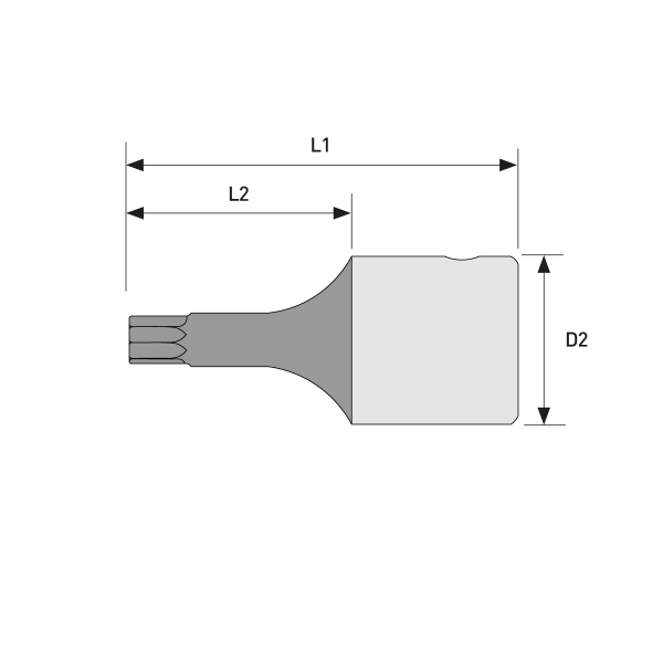 Torx insert for Torque wrench T25